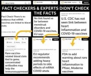 fact checkers.jpg