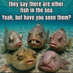 FB_IMG_1779316570687.jpg